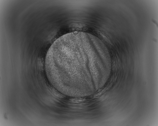 X0000098120661200804251453