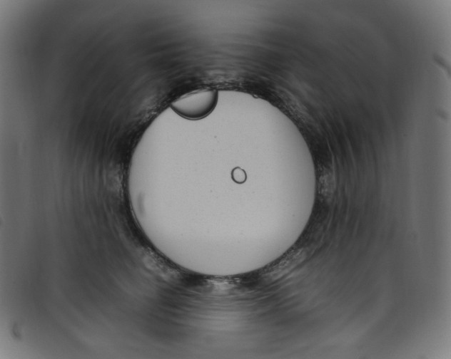 X0000098120662200804251453