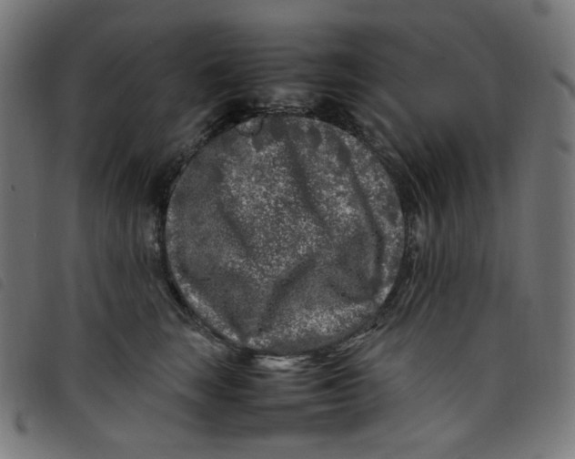 X0000098120663200804251453
