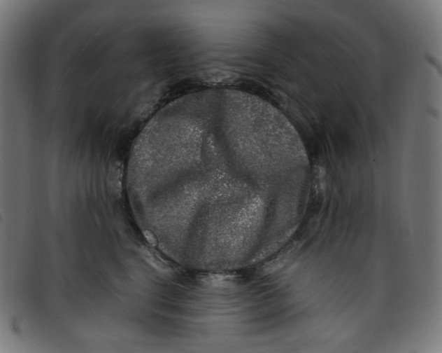 X0000098120664200804251453