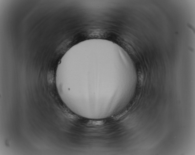 X0000098120665200804251453