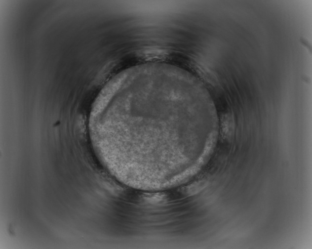 X0000098120667200804251453