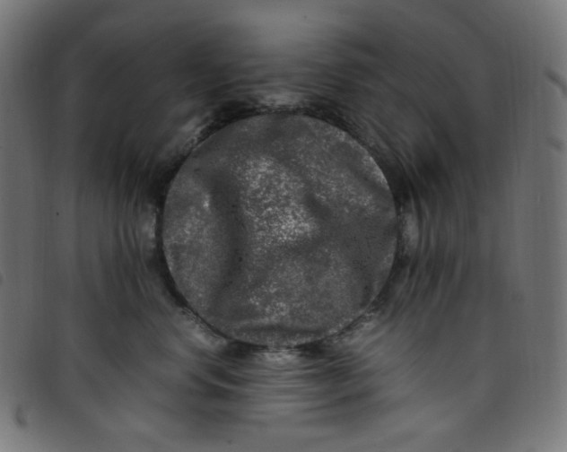 X0000098120668200804251453