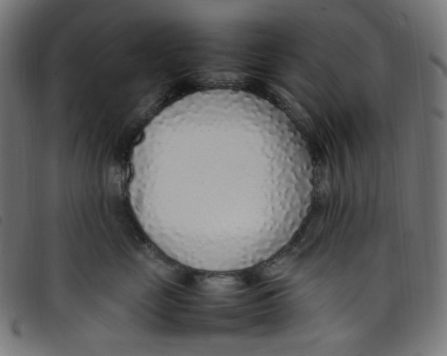 X0000098120669200804251453