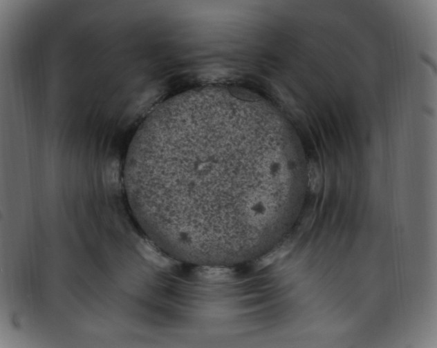 X0000098120670200804251453