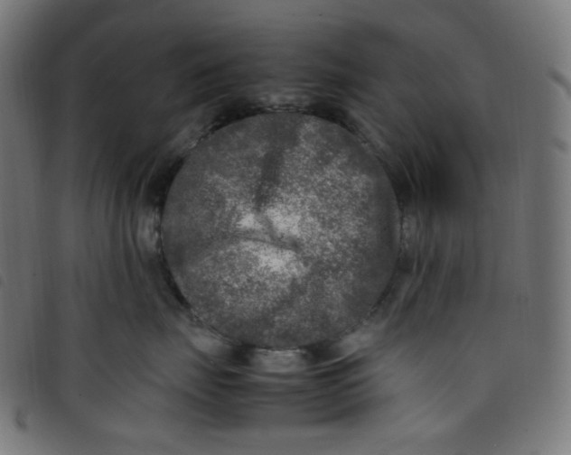 X0000098120671200804251453