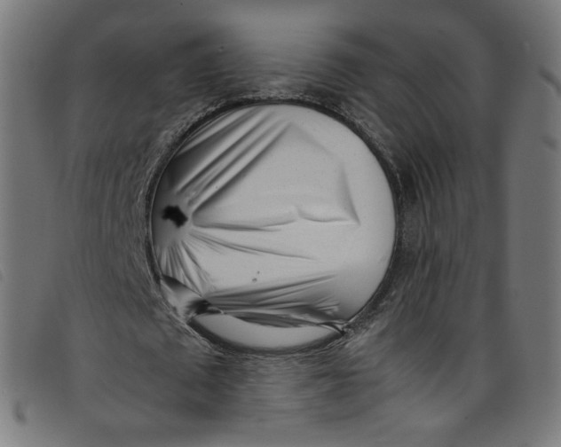 X0000098120673200804251452