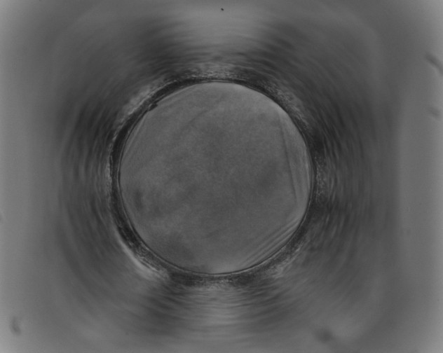 X0000098120674200804251452
