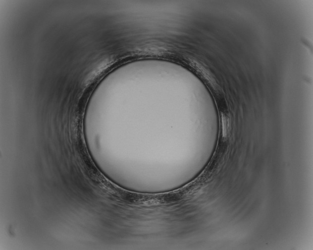 X0000098120675200804251452