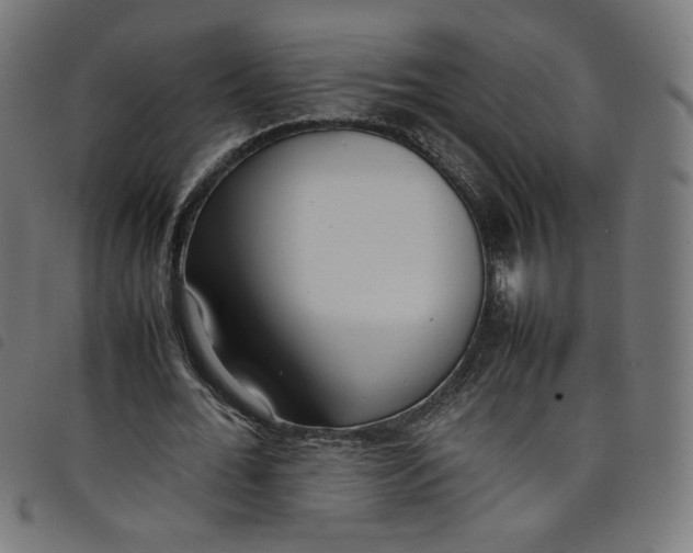 X0000098120676200804251452