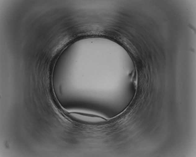X0000098120677200804251452