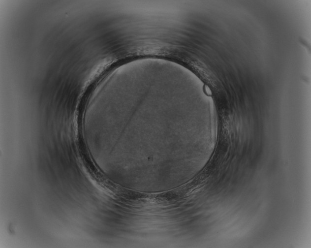 X0000098120678200804251452
