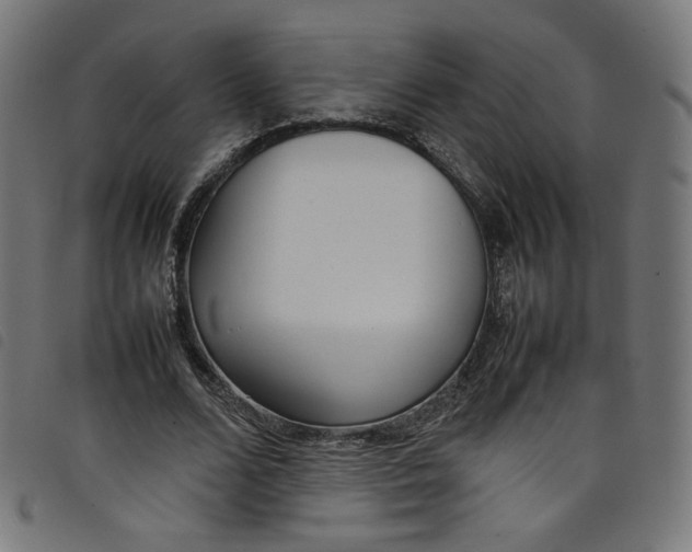X0000098120680200804251452