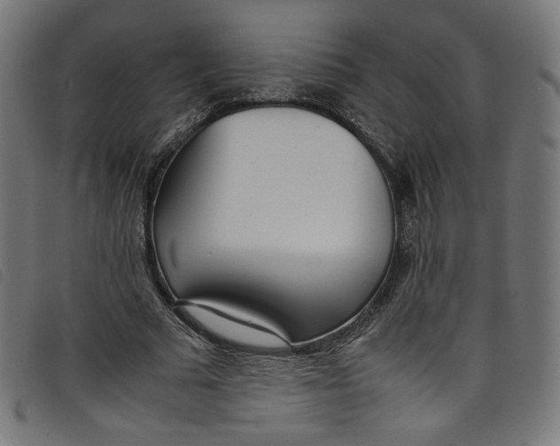 X0000098120681200804251452