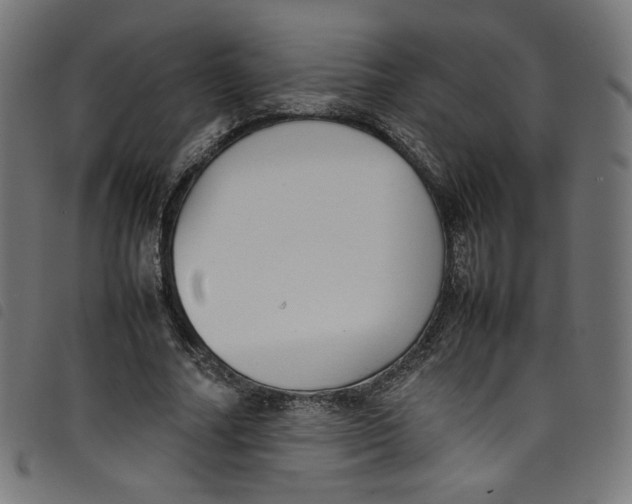 X0000098120682200804251452