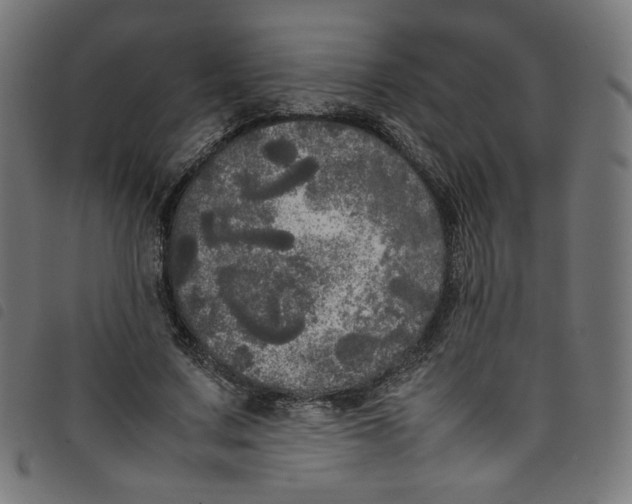 X0000098120683200804251452