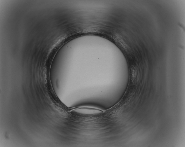 X0000098120684200804251452