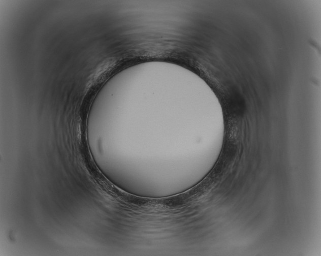 X0000098120685200804251452