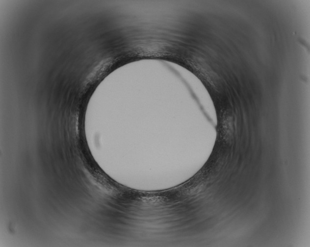 X0000098120686200804251452