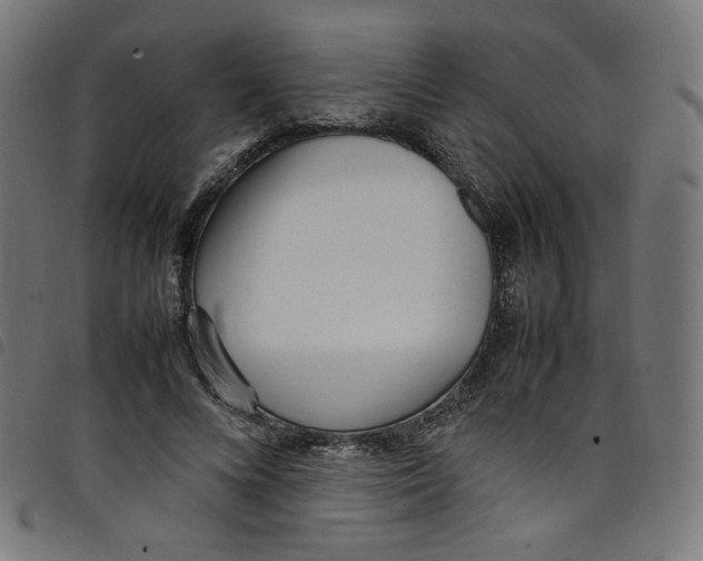 X0000098120688200804251452