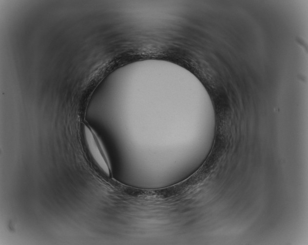 X0000098120689200804251452
