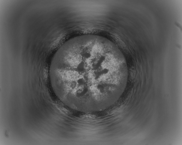 X0000098120691200804251452
