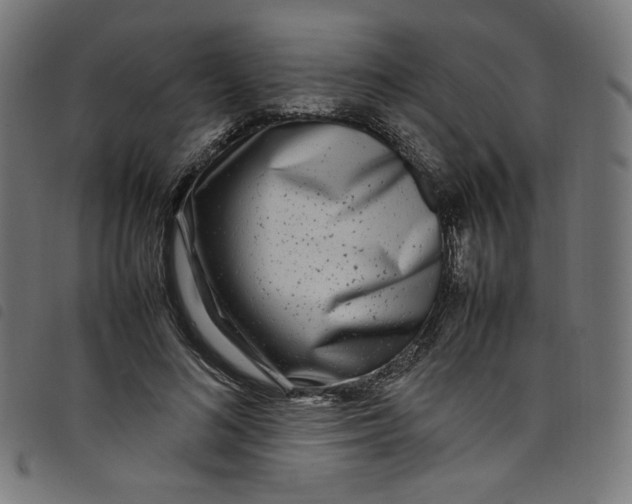 X0000098120692200804251452
