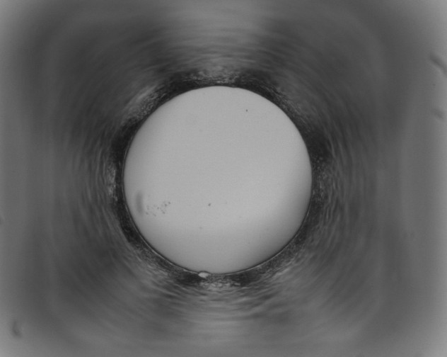 X0000098120693200804251452