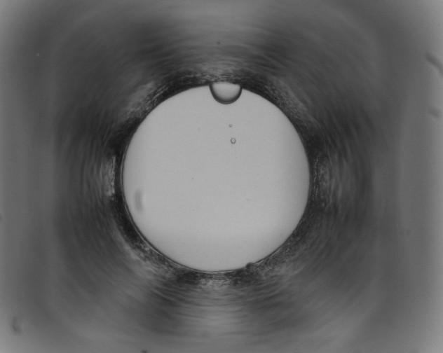 X0000098120694200804251452