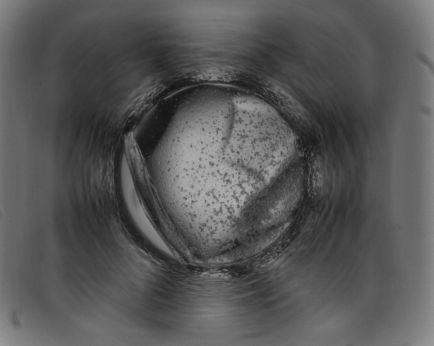 X0000098120696200804251452