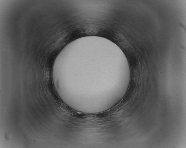 X0000098120697200804251452