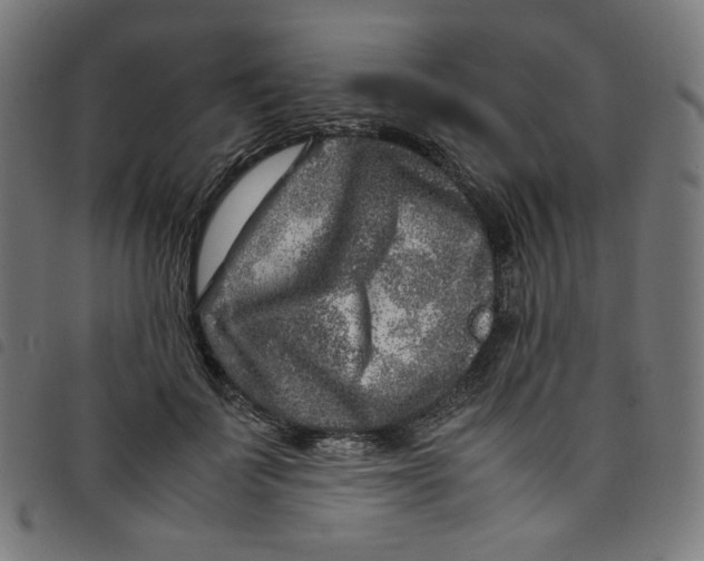 X0000098120699200804251452