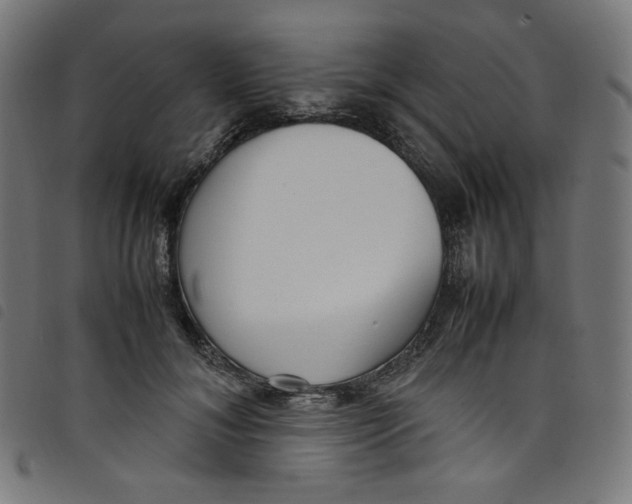 X0000098120700200804251452