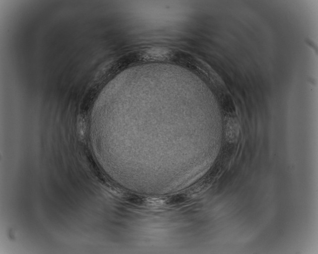 X0000098120701200804251452