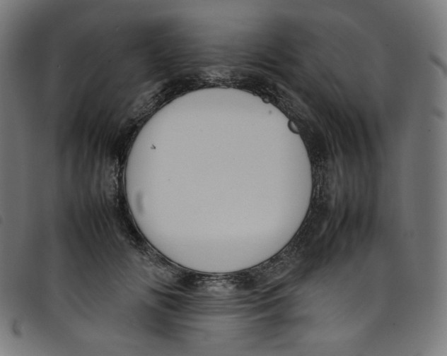 X0000098120702200804251452