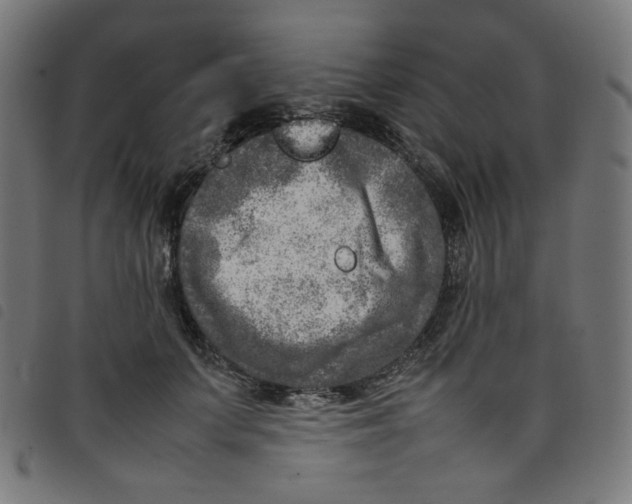 X0000098120703200804251452