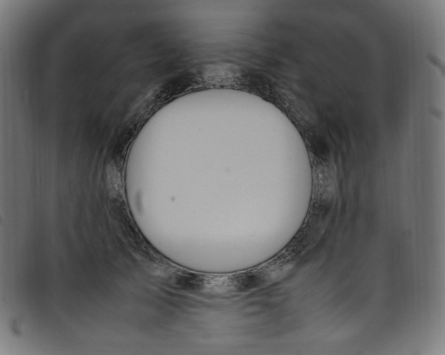 X0000098120705200804251452