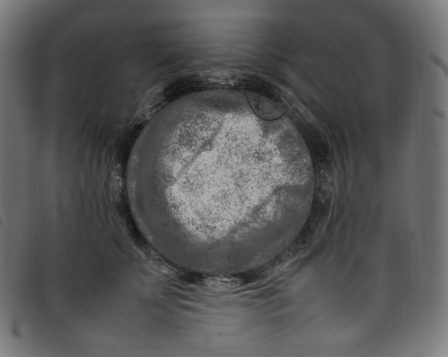 X0000098120707200804251452