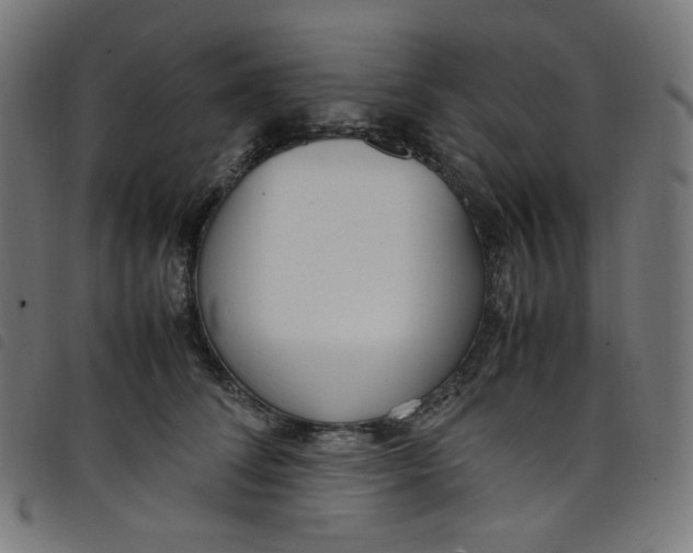 X0000098120708200804251452