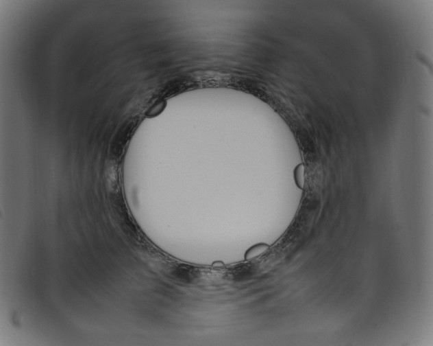 X0000098120709200804251452