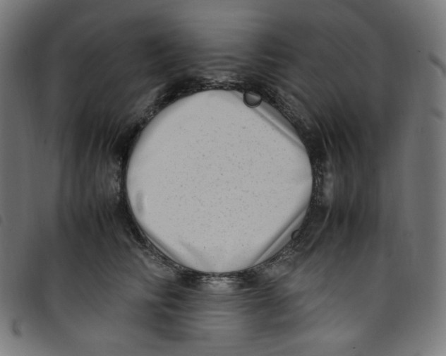 X0000098120710200804251452