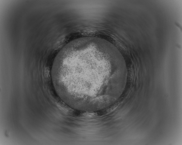 X0000098120711200804251452