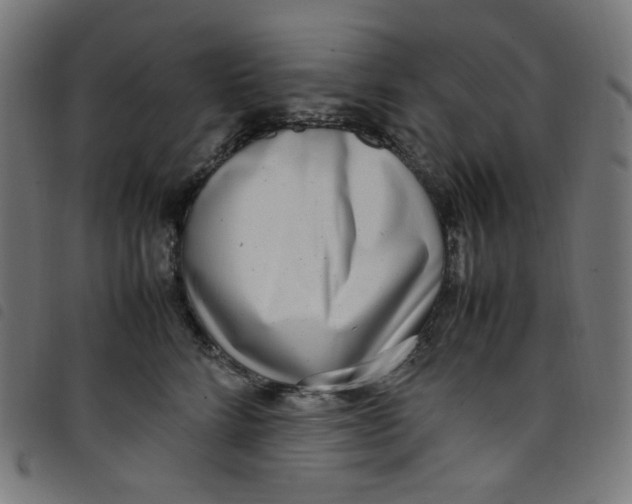 X0000098120712200804251452