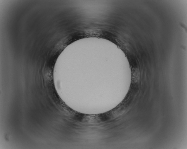 X0000098120713200804251452