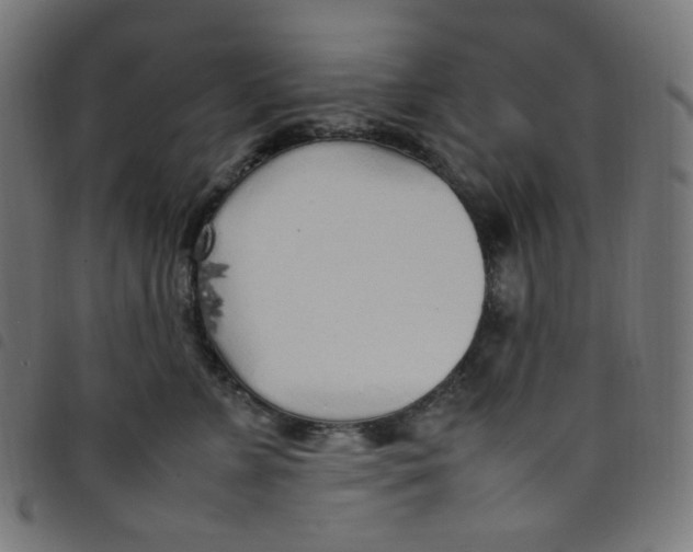 X0000098120715200804251452