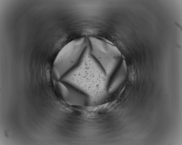 X0000098120716200804251452