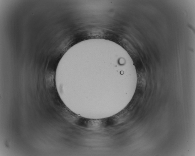 X0000098120717200804251452