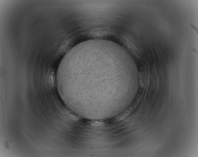 X0000098120718200804251452