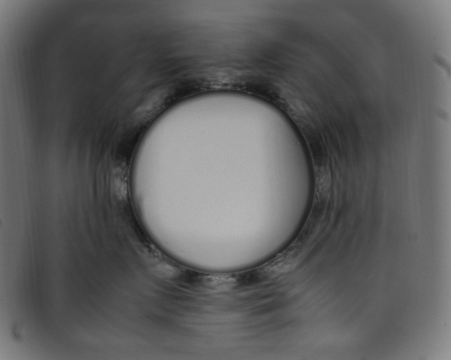 X0000098120719200804251452