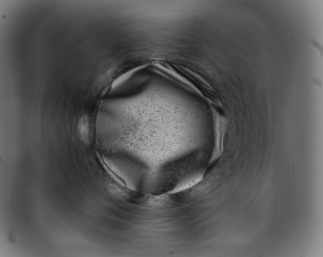 X0000098120720200804251452